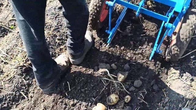 Грохотная копалка в работе. смотреть онлайн