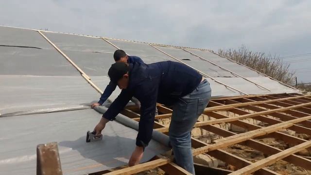 Аитур.криша. смотреть онлайн