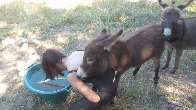impossible de travailler avec Galipette de Bel'Âne смотреть онлайн