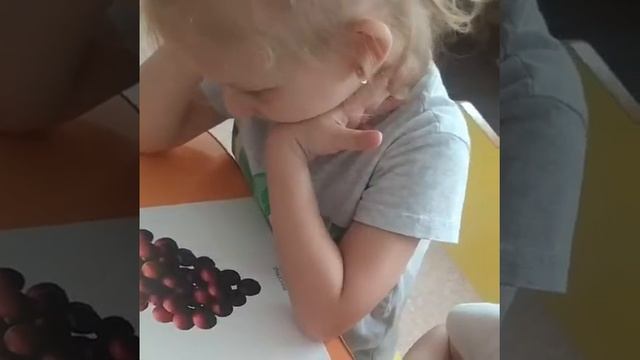 Растительный мир ягоды, грибы 6 гр смотреть онлайн