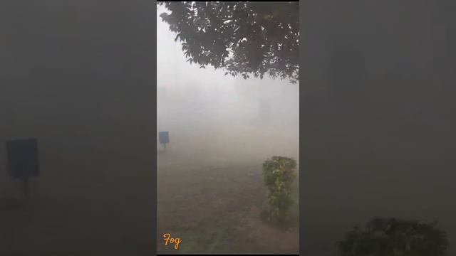 Dense Fog | Weather Update | Safe Driving | BTL | Lahore смотреть онлайн