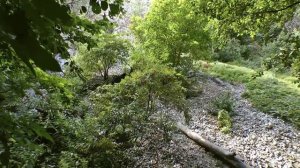 Природный парк «Щербаковский»