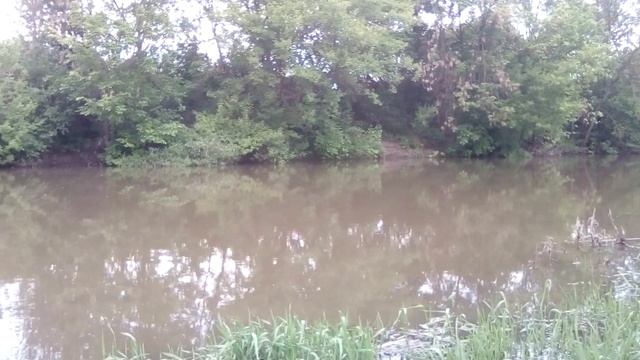 река МИУС смотреть онлайн