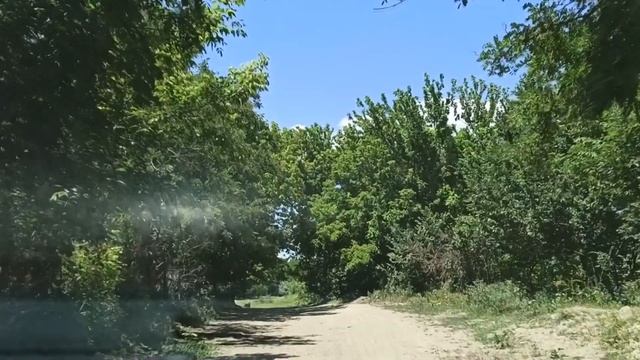 Суперская Природа Южного Казахстана 2020 смотреть онлайн