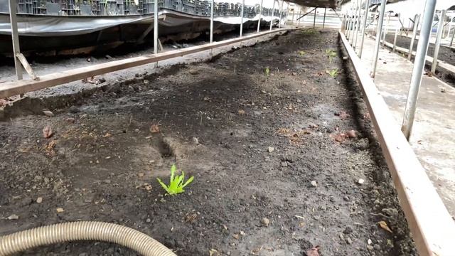 Отопление зимней теплицы в условиях Сибири. смотреть онлайн