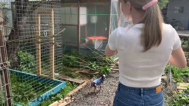 Новый вольер для попугаев! Кого высадили на улицу?