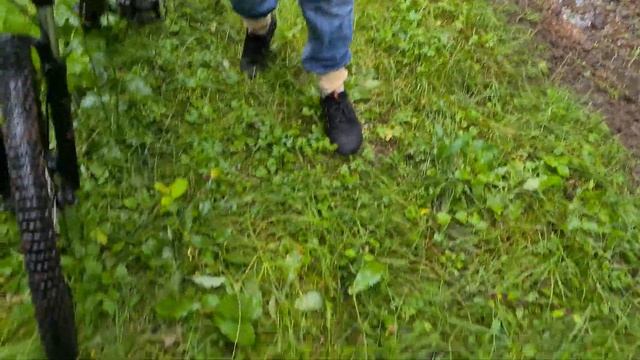 ГИГАНТСКИЕ МУРАВЕЙНИКИ и прочие находки в нашем лесу смотреть онлайн