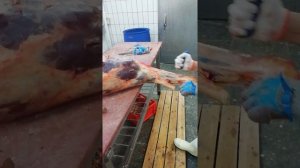 Обвалка конина бёдра