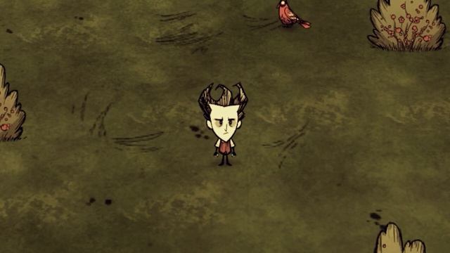 Как Выращивать Огромные Растения в DST? Подробный гайд! смотреть онлайн