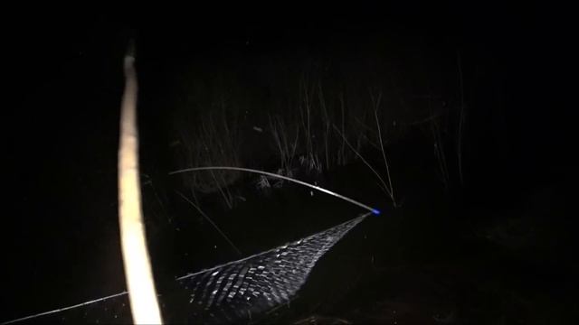 Рыбалка на паук подъёмник в ручье.Кипит вода от рыбы. смотреть онлайн