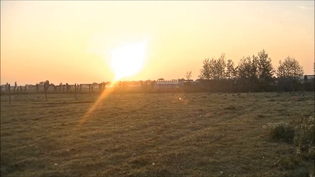 Goose Hunting 2017 смотреть онлайн