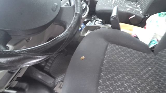 22.01.2019 Обзор Renault Kangoo когорая будет выставляться к нам на торги