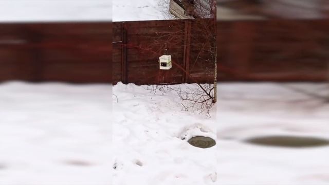 Печь- голландка на 3 комнаты смотреть онлайн