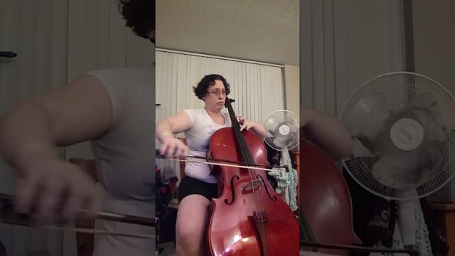 Old Vs New Cello String (Part 2 Of 2)