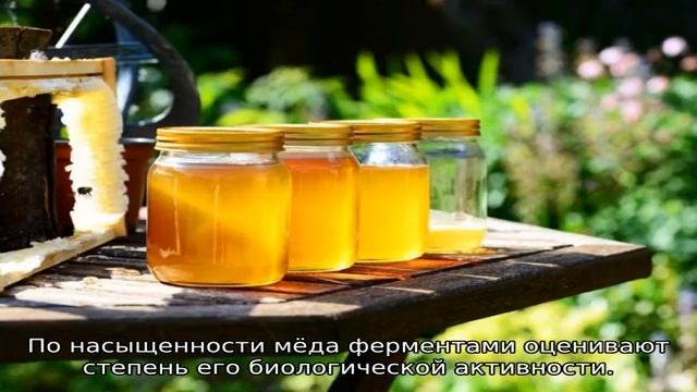 Диастазное число меда — что это смотреть онлайн