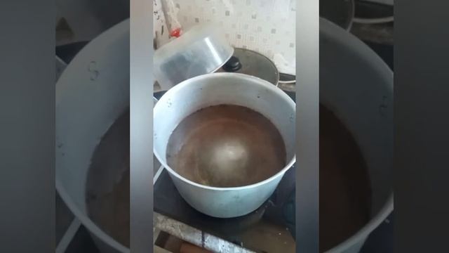 Маринуем грибы! Маринад подходит под любые грибы! #2023 #дом #лето #природа #лес #грибы #маринад смотреть онлайн