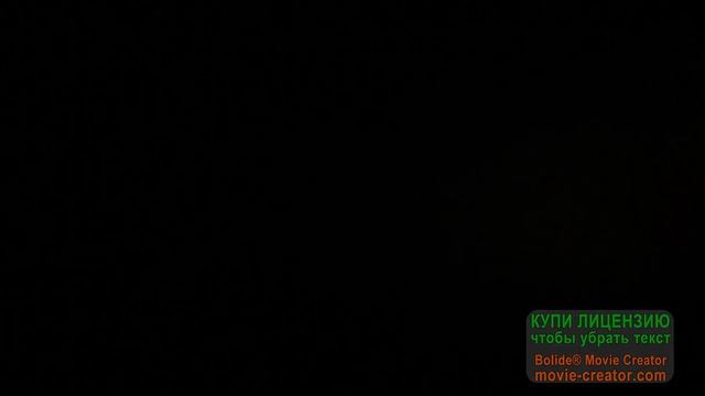 Р 003 ЕМ 197 Икарус 250 смотреть онлайн