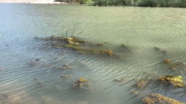 ПЛЯЖИ АНТАЛИИ - ОЛИМПОС смотреть онлайн