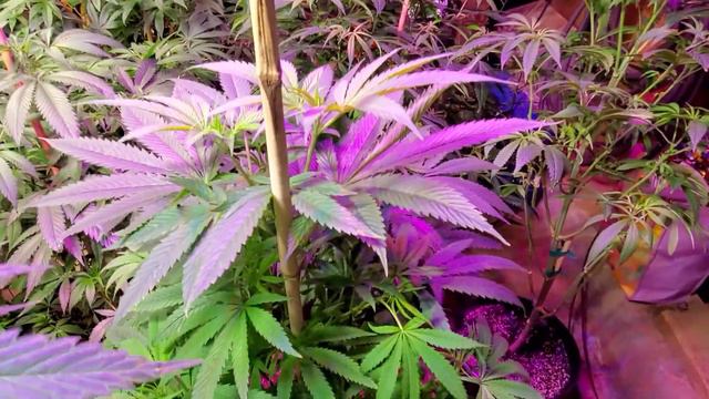 Getting There 2020 Outdoor