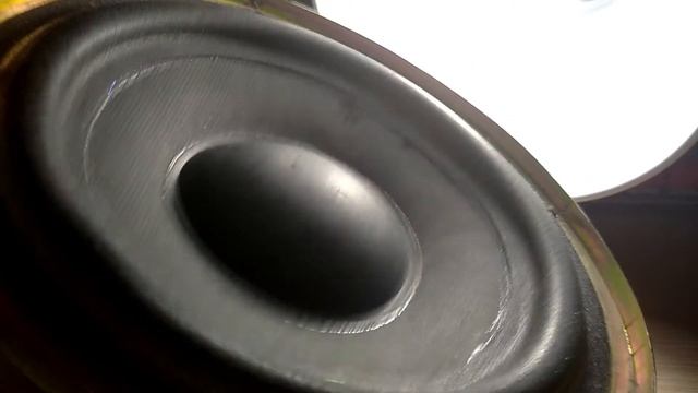 Bass Test Subwoofer