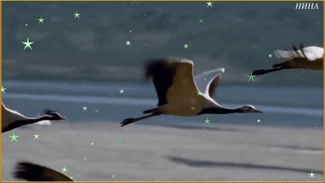 ДНИ ЛЕТЯТ - Татьяна Буланова смотреть онлайн