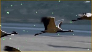 ДНИ ЛЕТЯТ - Татьяна Буланова