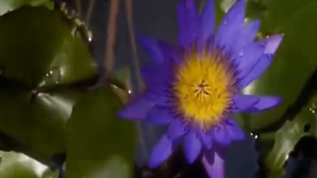 MANTRA SPA ESPIRITUAL@ MEDELLIN смотреть онлайн