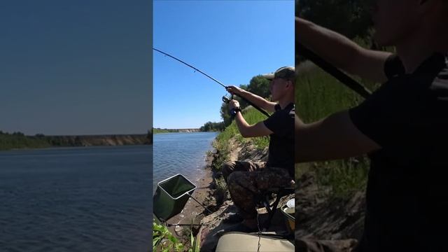 ОГРОМНЫЙ ЯЗЬ!!!