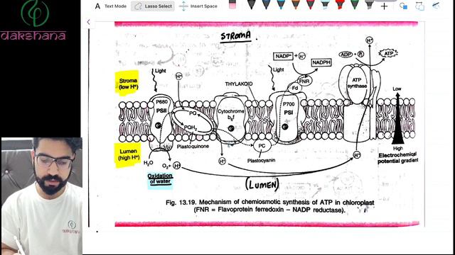 NEET | Biology | Photosynthesis | L 04 | Paras Verma смотреть онлайн