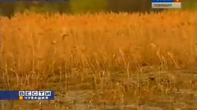 Post-742-1273268712.flv