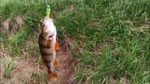 Для рыбалки, никакая погода не помеха.!!!