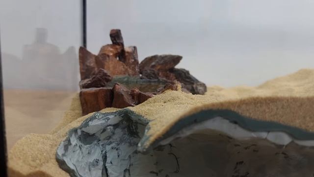 Их боялись Египетские фараоны. Террариум для мышей с суперспособностями. смотреть онлайн