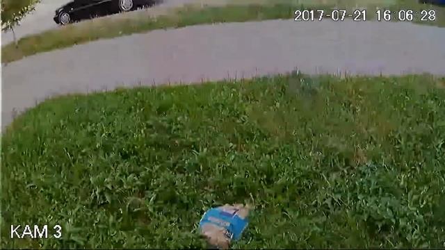 Пример работы CVI видеокамеры Dahua DH-HAC-HFW1220SP (3.6 мм) смотреть онлайн