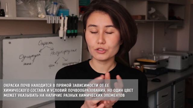 Морфология почв. Определение почвенной окраски. смотреть онлайн