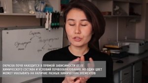 Морфология почв. Определение почвенной окраски.