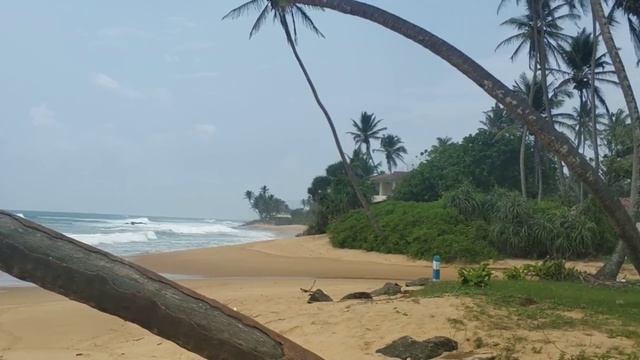 ДОСТОПРИМЕЧАТЕЛЬНОСТИ ХИККАДУВЫ смотреть онлайн