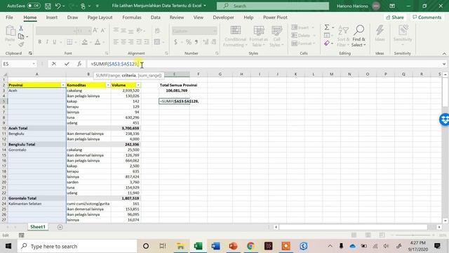 Cara Menjumlahkan Data Tertentu di Excel | Menjumlahkan Subtotal di Excel Kombinasi Rumus Sumif смотреть онлайн
