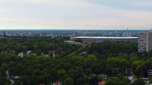 Полет кондора