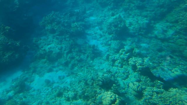 на глубине моря