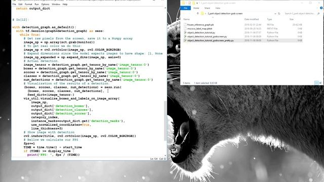TensorFlow realtime object detection making it to work fast смотреть онлайн