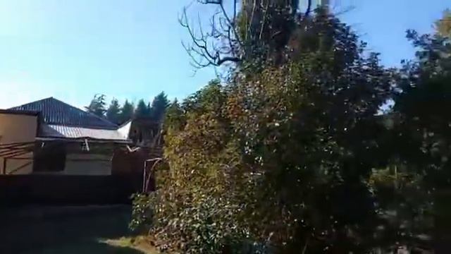 Гагра, Цандрыпш 10 соток смотреть онлайн