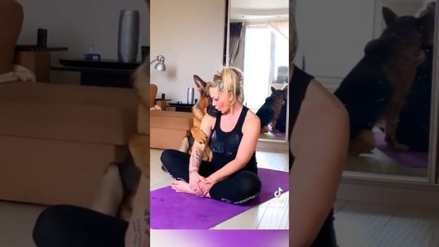 За что любить собак смотреть онлайн