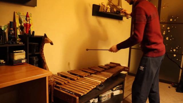 Harry Potter Main Theme Song On The Xylophone. Музыкальная тема Гарри Поттера на ксилофоне.