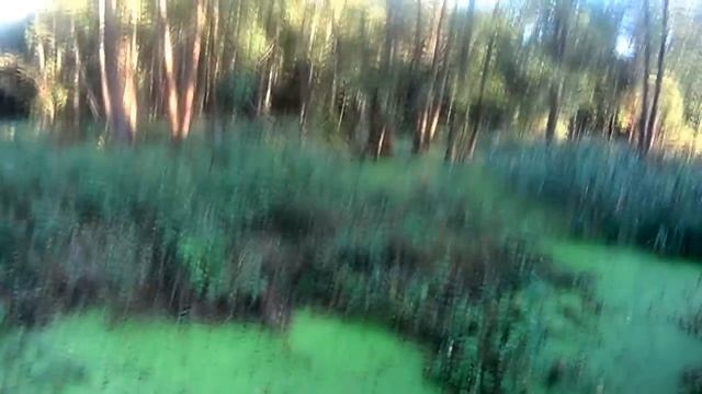 Охота на уток 2015. Утка плывет под водой! Очередные бродилки в выходной. Не могу сидеть дома! смотреть онлайн