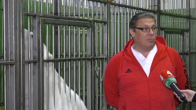 В Гомельском цирке - белые медведи смотреть онлайн