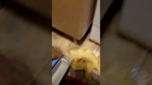 Проблема стиралок lg течет из под лотка для порошка.