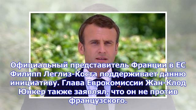 Макрон хочет сделать французский язык основным языком ЕС, - WSJ смотреть онлайн