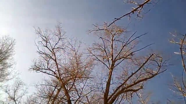 Осенний блюз.Autumn blues. смотреть онлайн