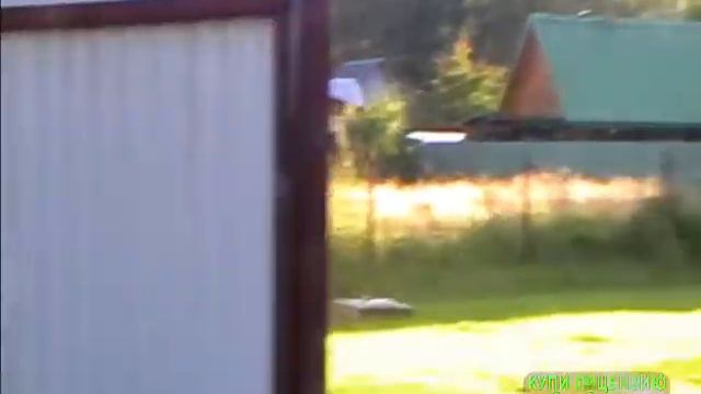 отдых на природе у знакомой оператора на дачи смотреть онлайн