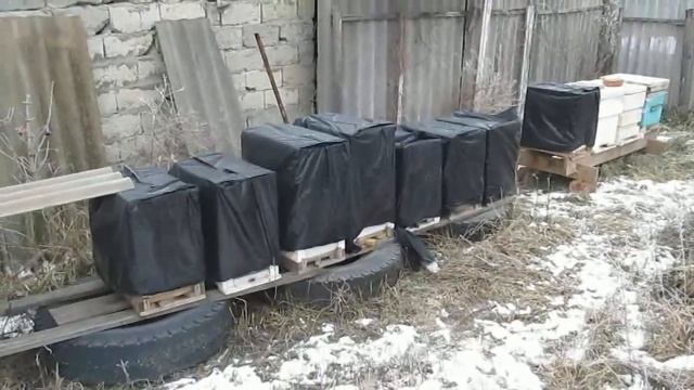 утепление рогатых ульев смотреть онлайн
